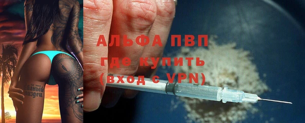 сатива Алзамай