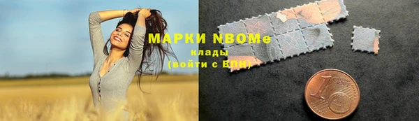 мет Алексин